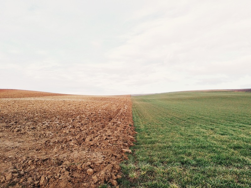 comprare terreni agricoli