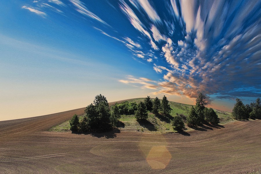 comprare terreni agricoli