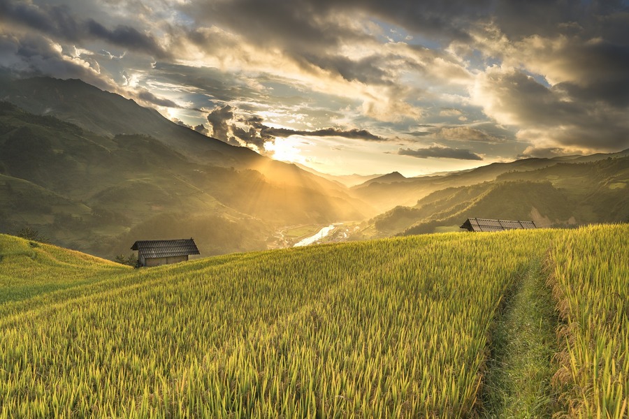 comprare terreni agricoli