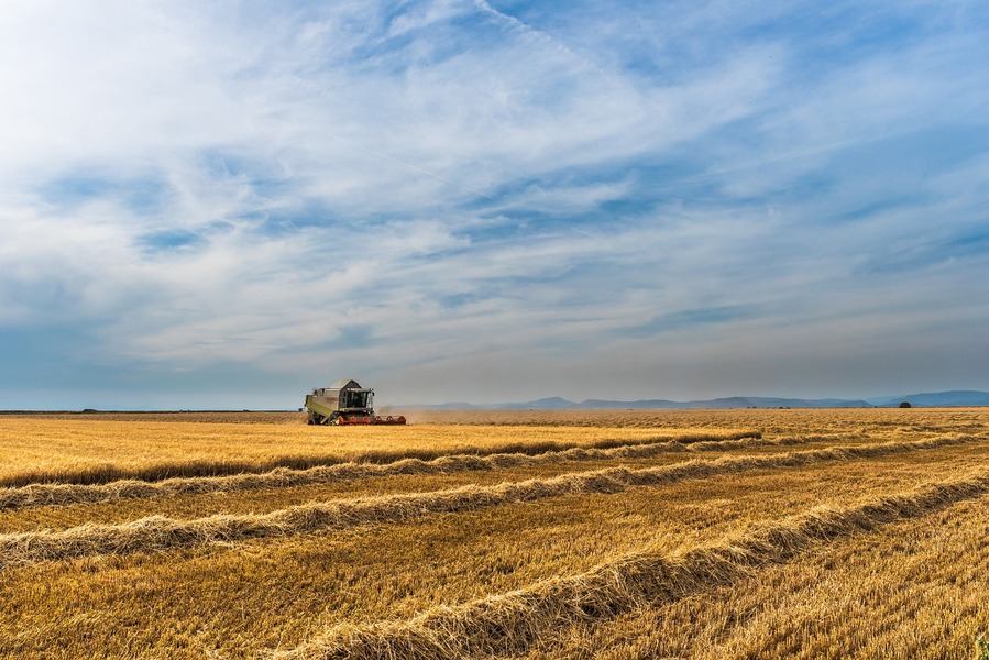 comprare terreni agricoli