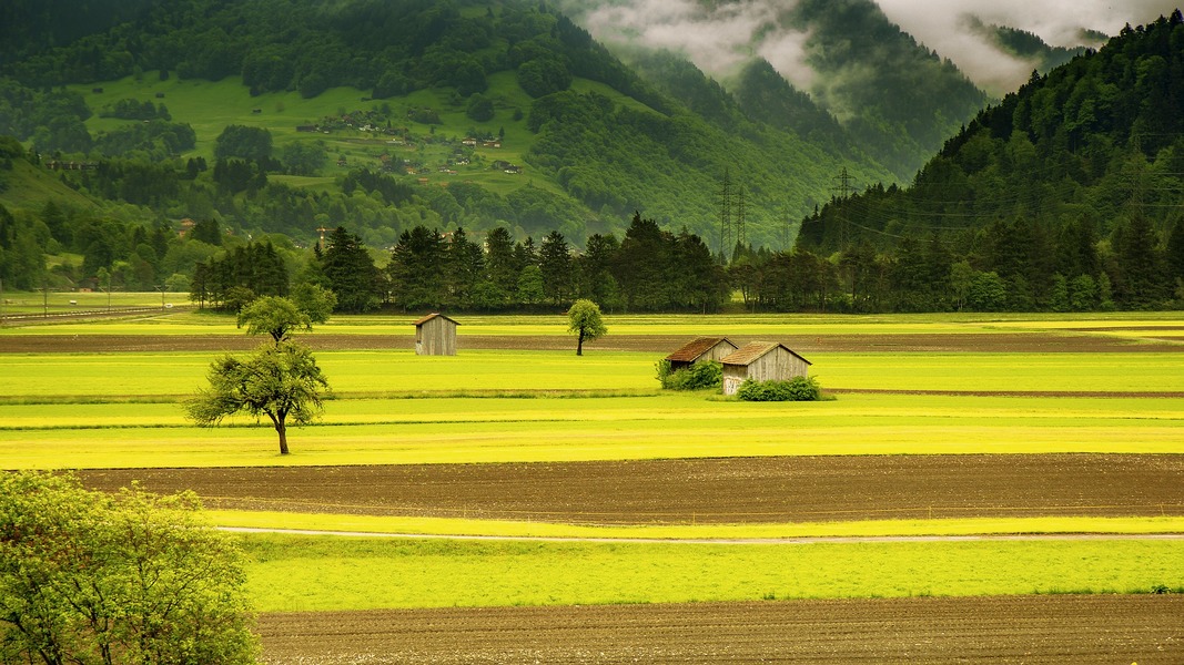 comprare terreni agricoli