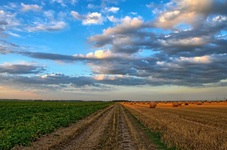 comprare terreni agricoli