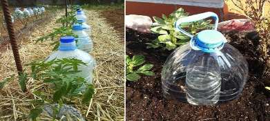 acqua distillata fai da te