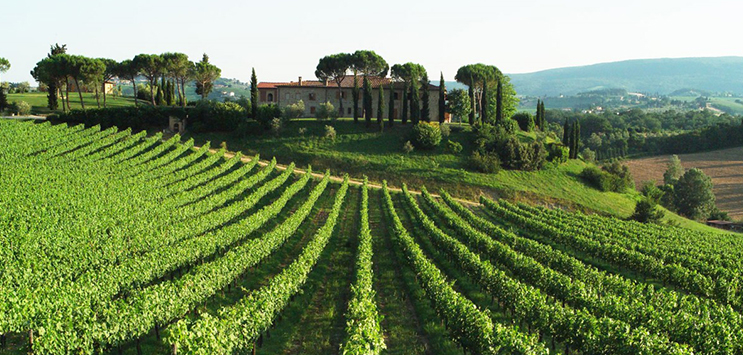 azienda agricola
