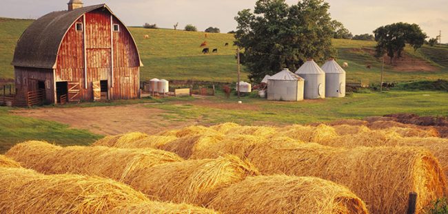 campo con una cascina e il fieno
