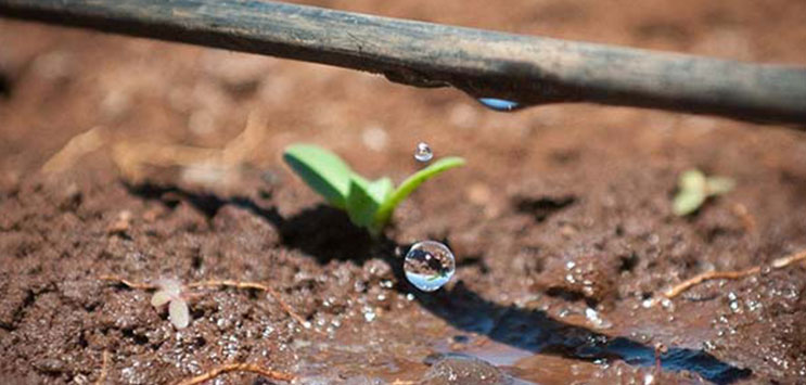 Irrigazione a goccia - Garden4us