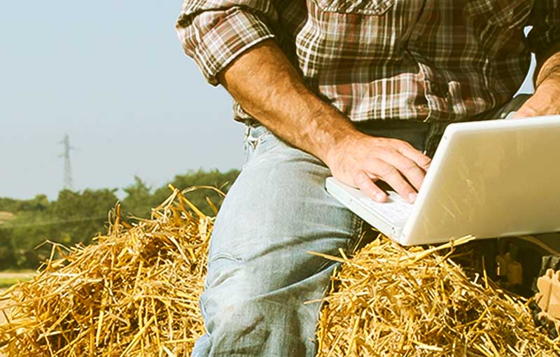 agricoltore al computer