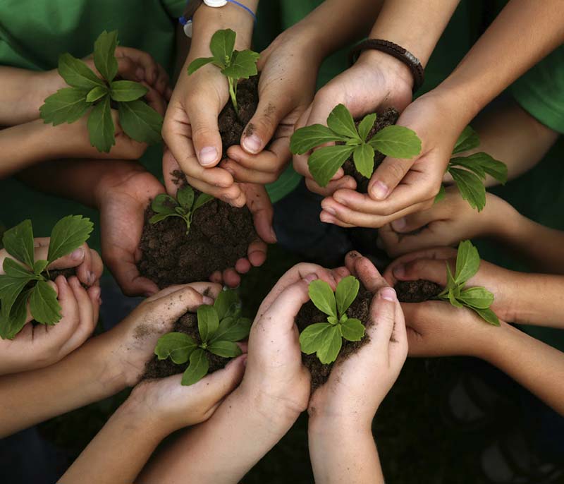 noi siamo agricoltura