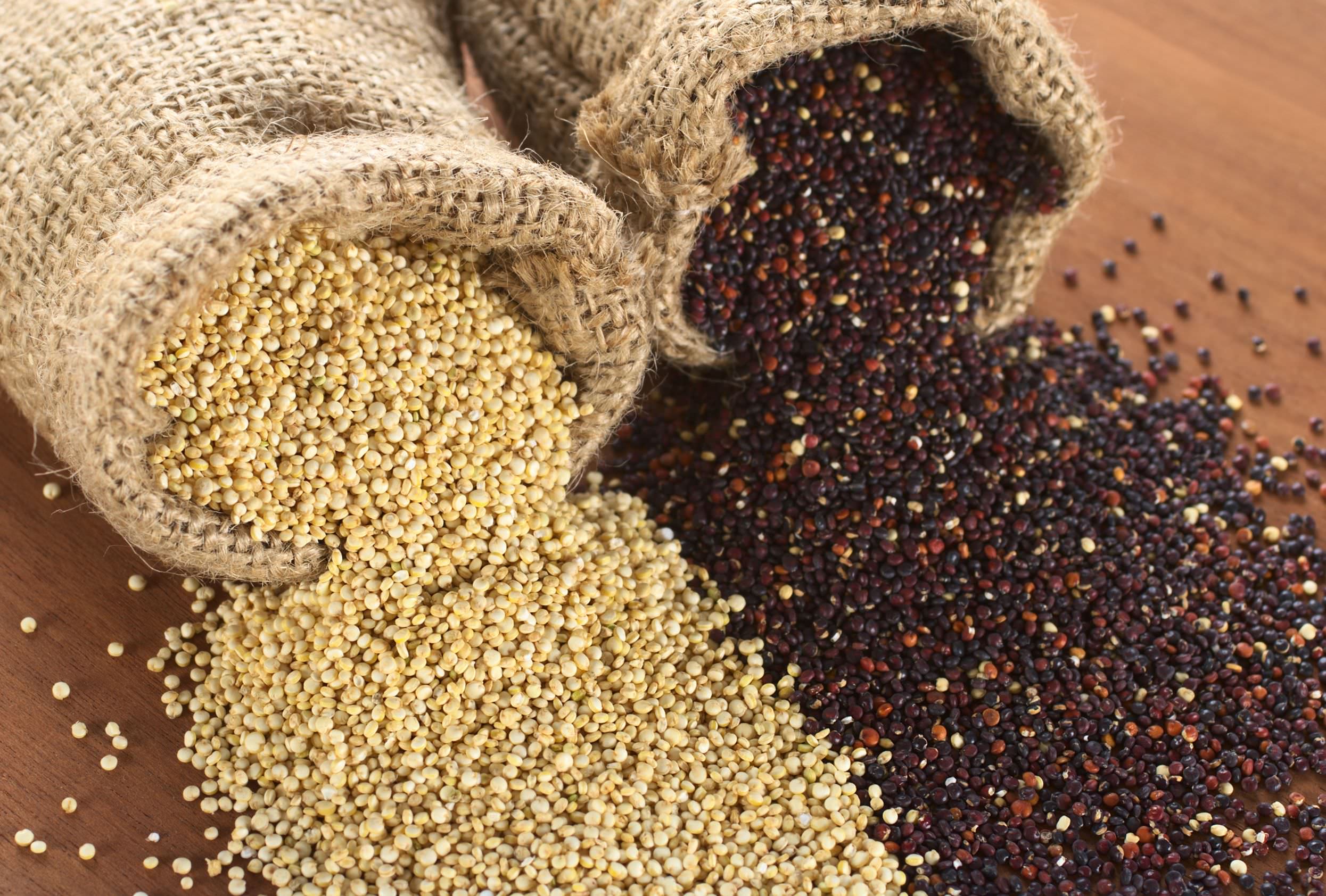 Colture da reddito la quinoa, dalle origini al miglior metodo di