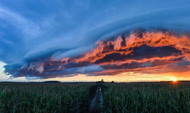 chi semina vento raccoglie tempesta