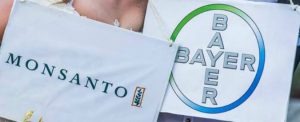bayer