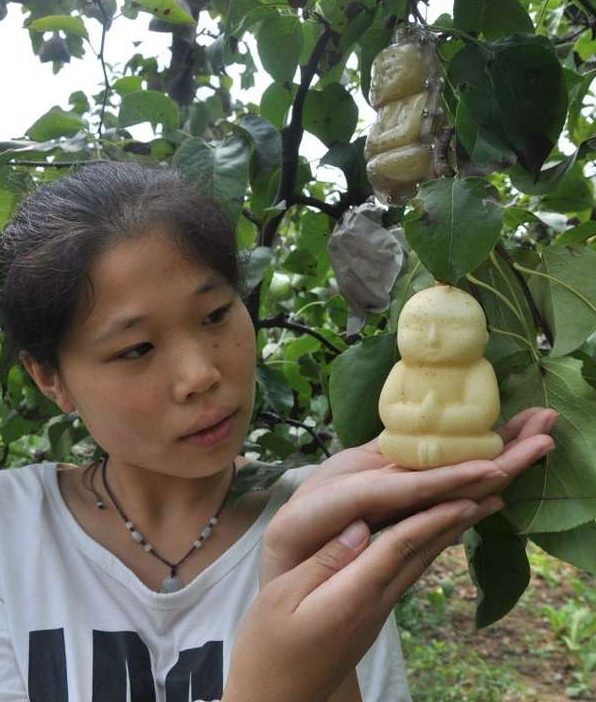 pere a forma di Buddha
