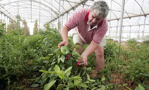 Agricoltore