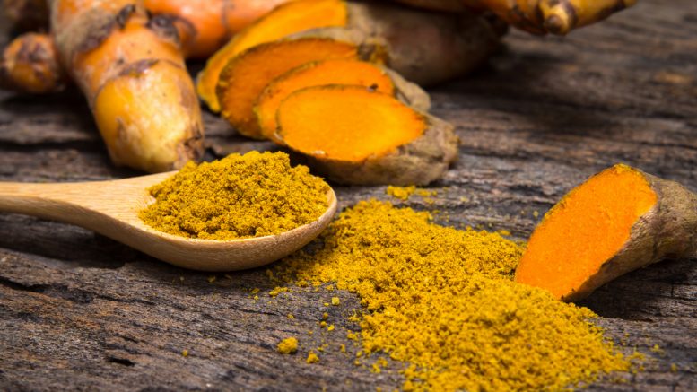 come coltivare la pianta della Curcuma