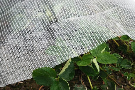 agrotessili
