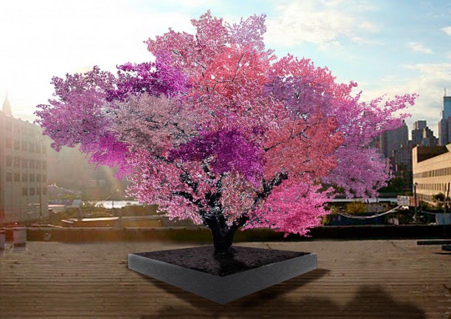 Albero dai 40 frutti Sam Van Aken
