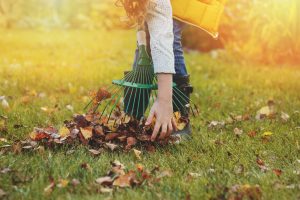 come curare il prato in inverno