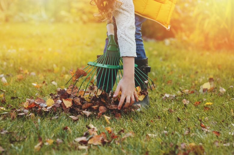 come curare il prato in inverno
