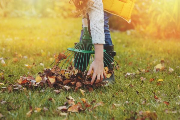 come curare il prato in inverno