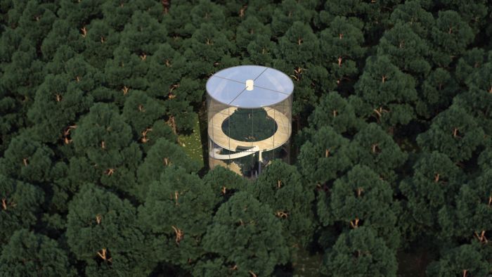 casa attorno all'albero