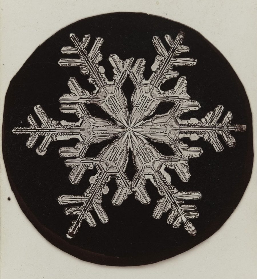 wilson bentley uomo dei fiocchi di neve