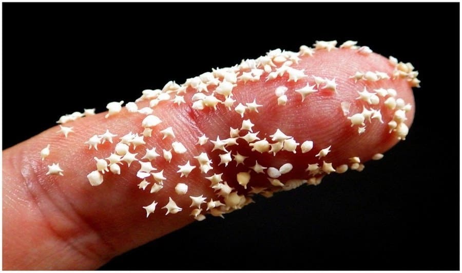 Le-spiagge-con-la-sabbia-di-stelle-del-Giappone-Hoshizuna-no-Hama