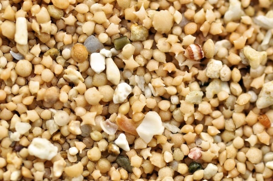 Le-spiagge-con-la-sabbia-di-stelle-di-Okinawa