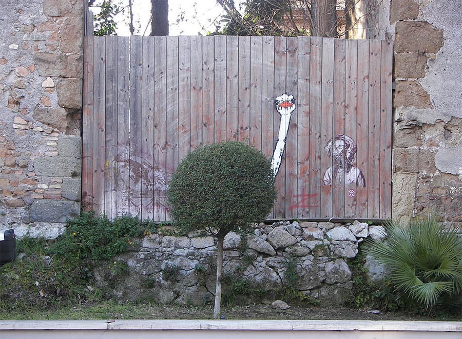 Struzzo by Pao Pao a Roma Struzzo by Pao Pao a Roma - Street Art