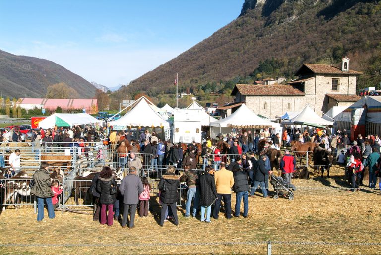 Fiere Agricole A Gennaio Tutte Le Sagre E Gli Eventi Presenti In Italia