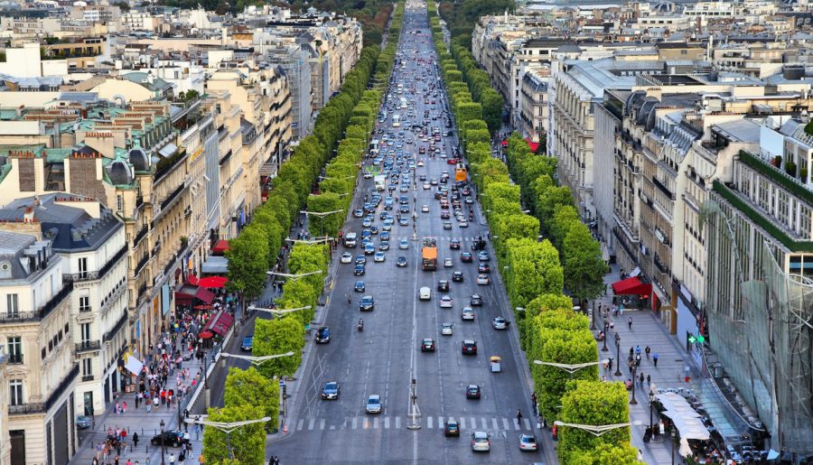 cambiamenti climatici gli alberi in città crescono più velocemente di quelli in campagna parigi