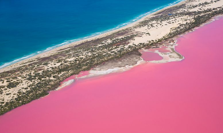 hutt lagoon lago rosa australia steve back