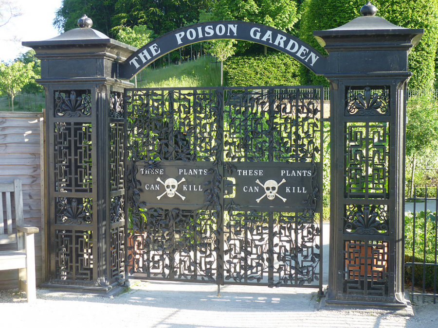 poison garden il cancello d'ingresso del giardino dei veleni di alnwick
