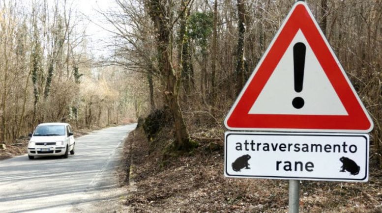 attraversamenti per animali - rospodotti piemonte