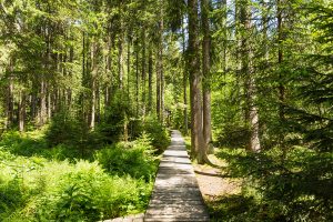 aziende a servizio dell'ambiente