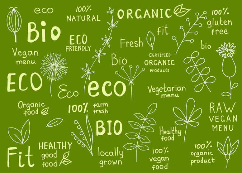Packaging ecosostenibile