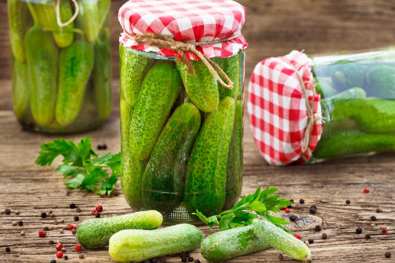come coltivare cetrioli per il sottaceto
