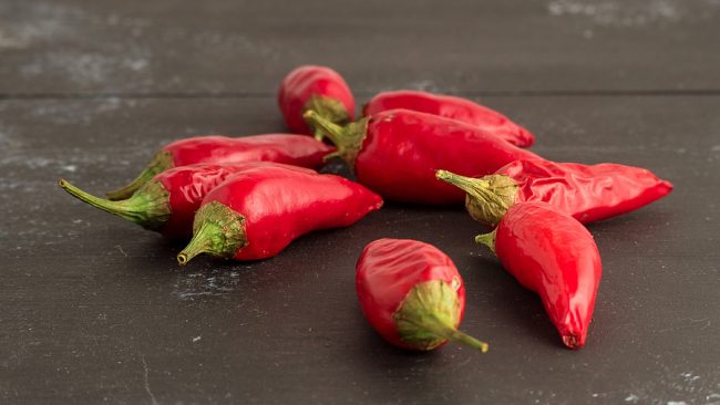 come coltivare il peperoncino