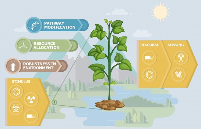 spie-ambientali-progetto-APT-Darpa