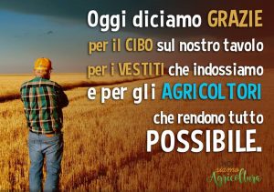 frasi noi siamo agricoltura