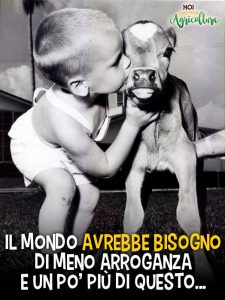 frasi noi siamo agricoltura