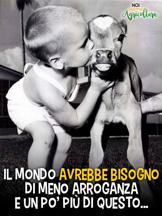 frasi noi siamo agricoltura