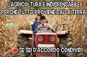 frasi noi siamo agricoltura