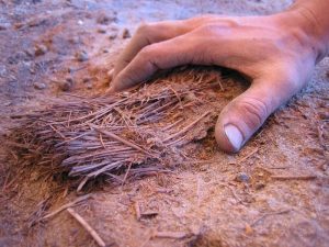 agricoltura-preistorica-nel-Sahara-10000-anni-fa-uomo-coltivava-cereali