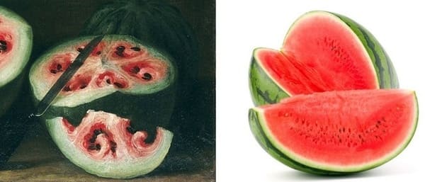 Anguria selvatica e moderna a confronto Frutta e verdura - anguria selvatica e moderna a confronto