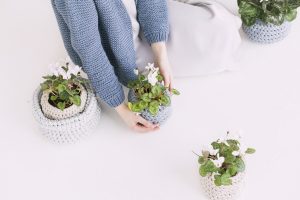 come portare la natura in casa