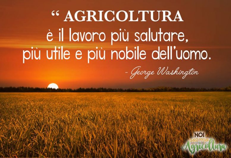 frasi noi siamo agricoltura