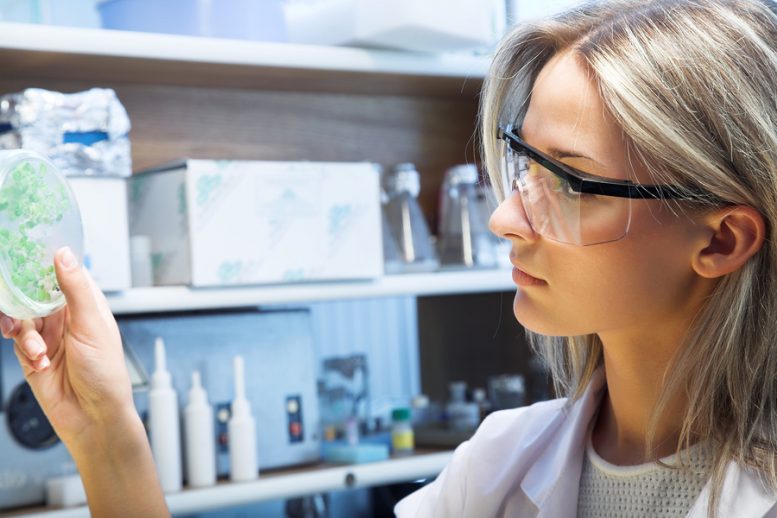 Dal tabacco si può riscrivere il DNA per poter creare farmaci