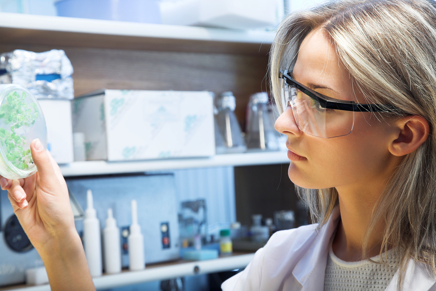 Dal tabacco si può riscrivere il DNA per poter creare farmaci