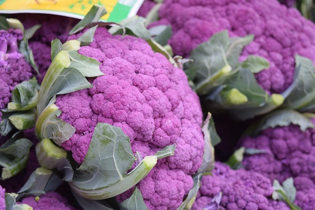 coltivare il cavolfiore