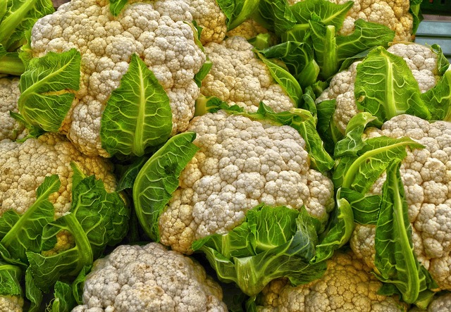 coltivare il cavolfiore
